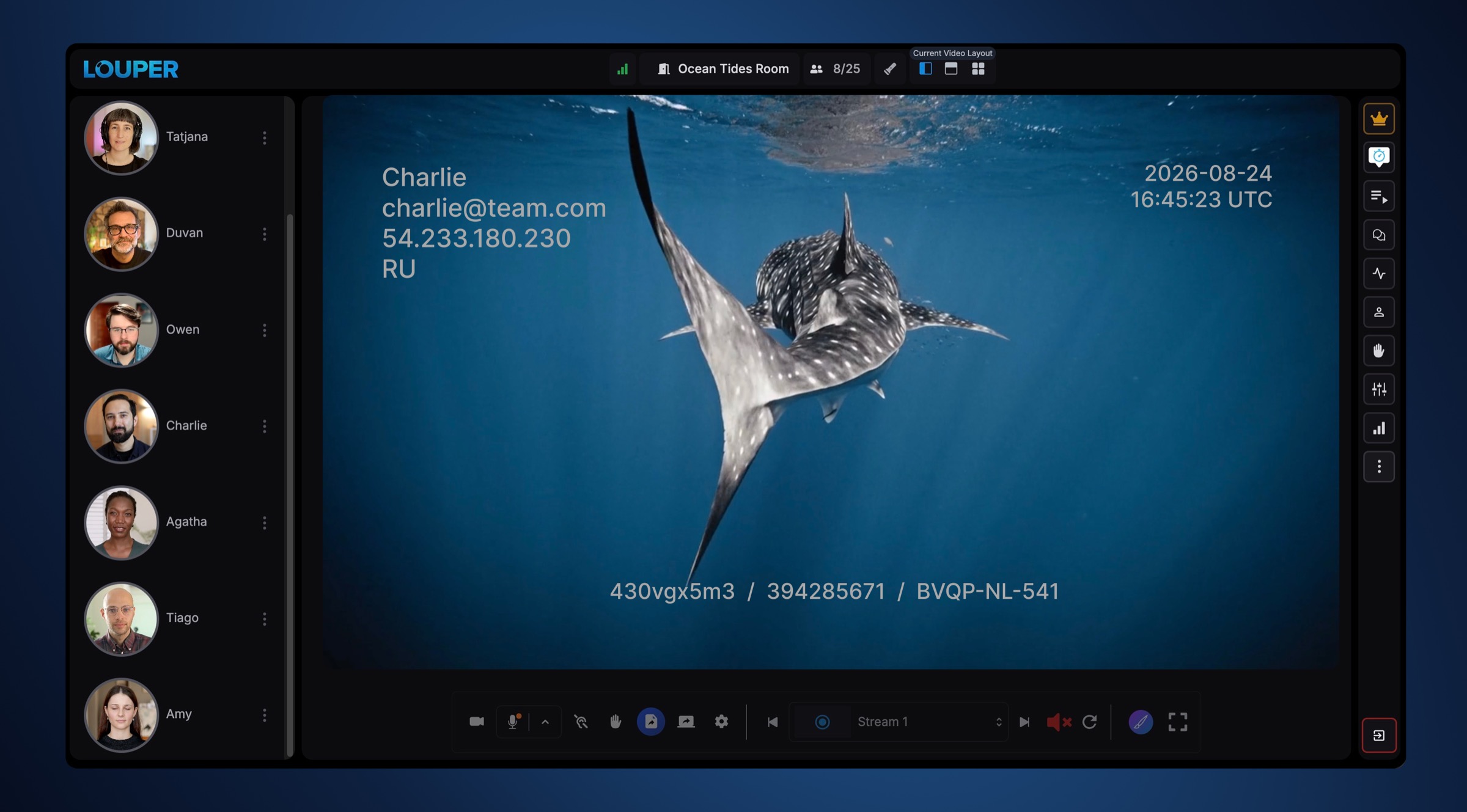 A Louper room with a client-side watermark showing the viewer's name, email address, IP address, date and time, and session identifiers over the livestream