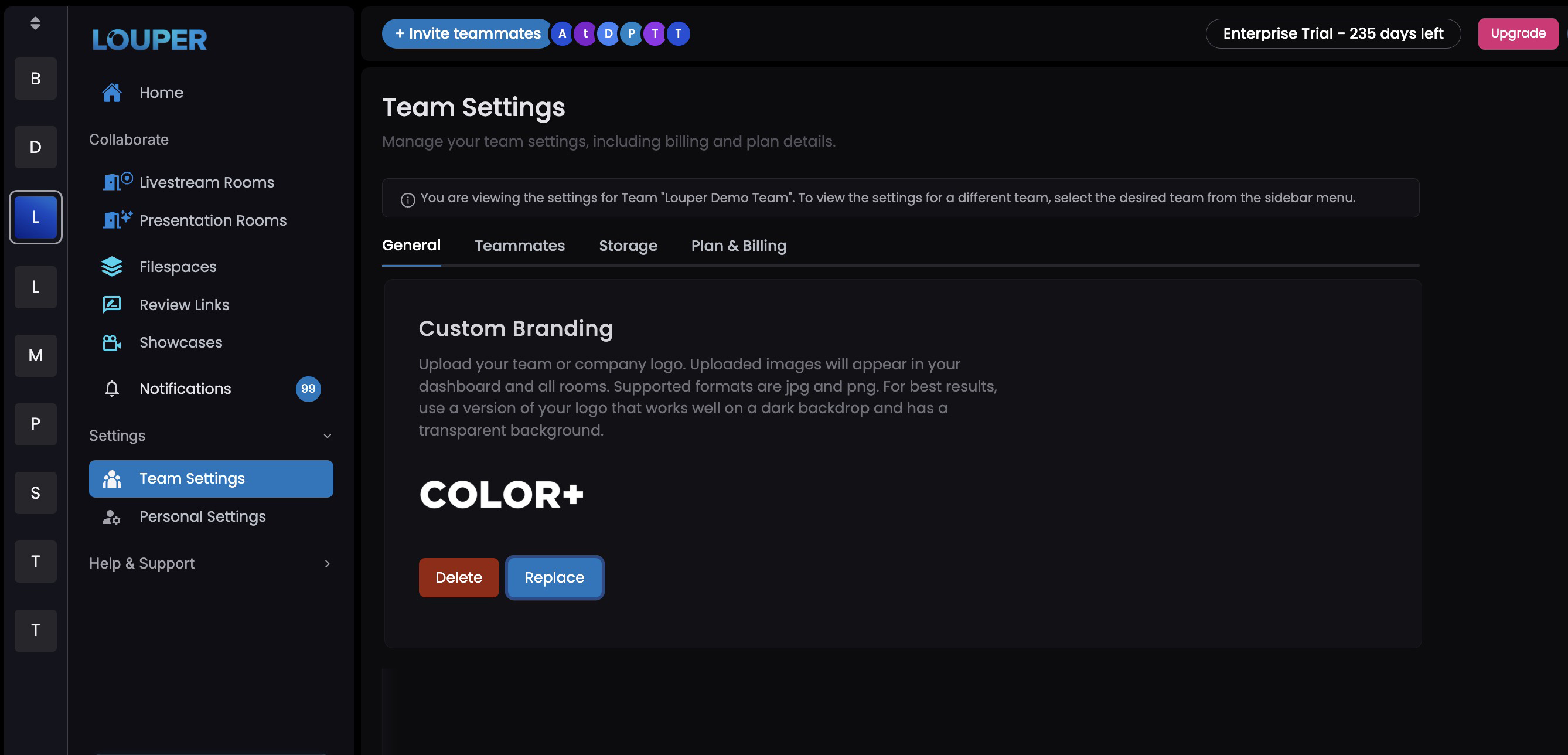 Custom branding in settings page